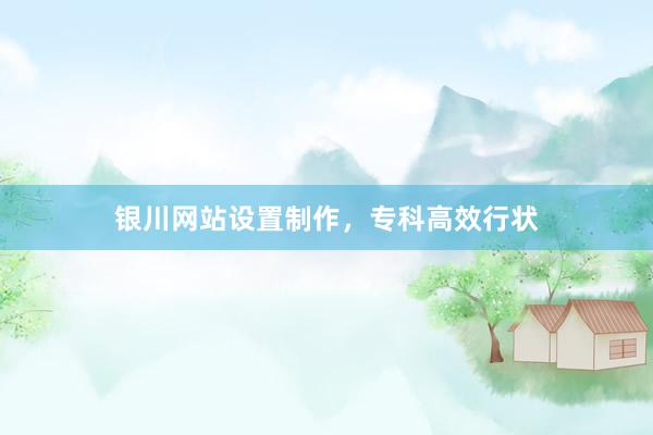 银川网站设置制作，专科高效行状
