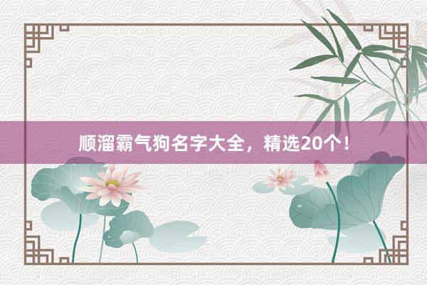顺溜霸气狗名字大全，精选20个！